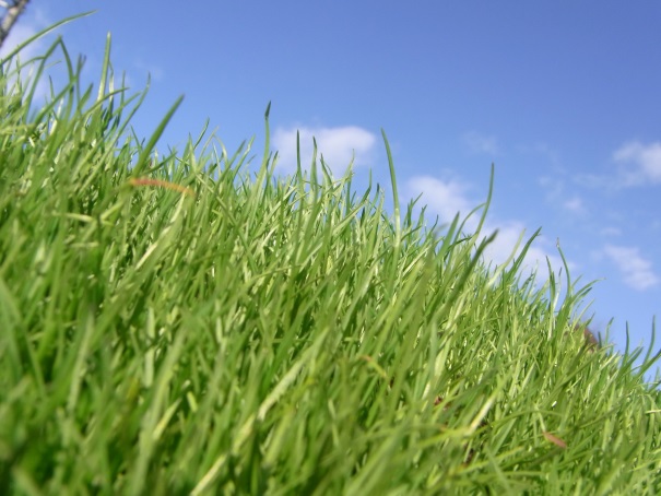 ナチュラ１ 芝生の使用方法 水素水 肥料